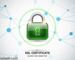 داشتن SSL یا اس اس ال وبسایت