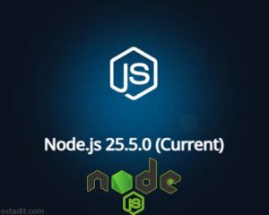 انتشار Node.js v25.5.0؛ معرفی قابلیت های توزیع اپلیکیشن های تک فایلی (SEA)